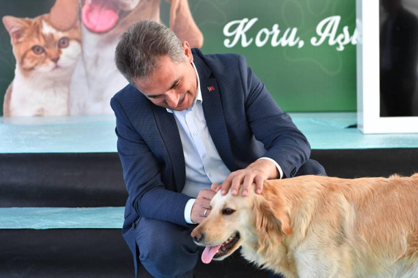 Başkan Köse’nin ‘Şehirde sahipsiz köpek olmaz’ çıkışı