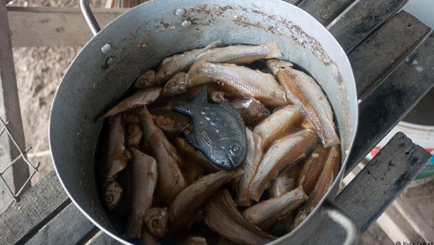 Kansızlık tedavisinde ilginç çözüm