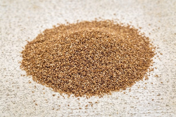 Teff Tohumu Nedir Faydaları ve Zararları Nelerdir