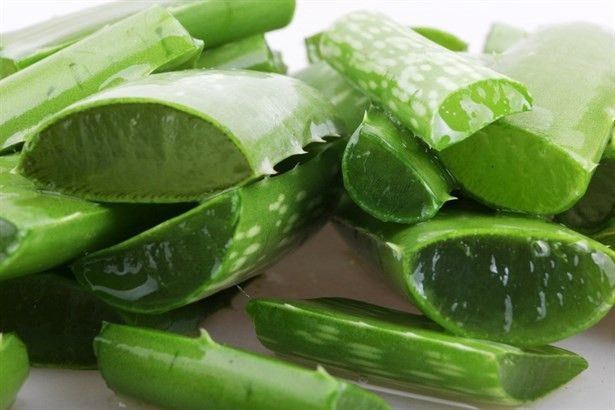 Aloe Vera Suyu İçmek İçin 5 Müthiş Sebep