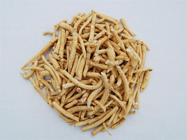 Adan Zye kozmetik sözlüğü