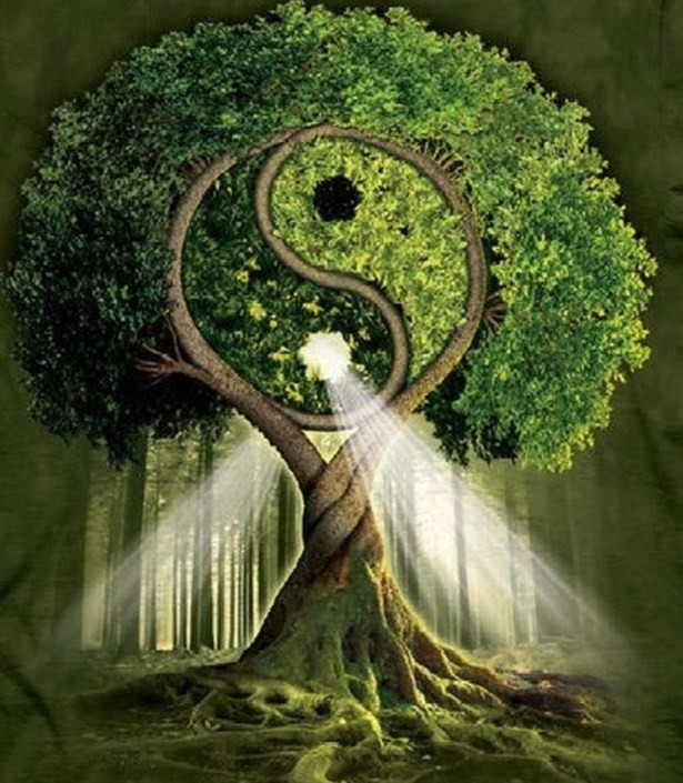 Çin Astrolojisine Göre 2015