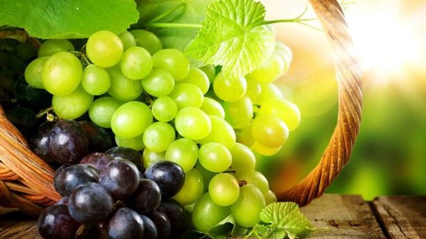 Fito Besinleri Duydunuz Mu