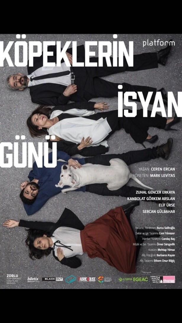 Köpeklerin İsyan Günü