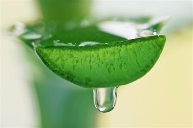 Evde Güneş Kremi Nasıl Yapılır