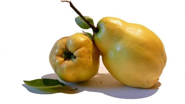 Yeni Yılda Hızlı Bir Metabolizma İçin Ayva Tüketin