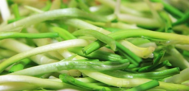 Çiriş Otu (Yabani Pırasa) Nedir Çiriş Otunun Faydaları