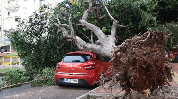 AFAD FIRTINANIN BİLANÇOSUNU AÇIKLADI: 2 ÖLÜ