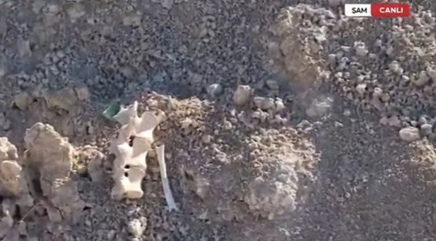 Şamda toplu mezarlık bulundu