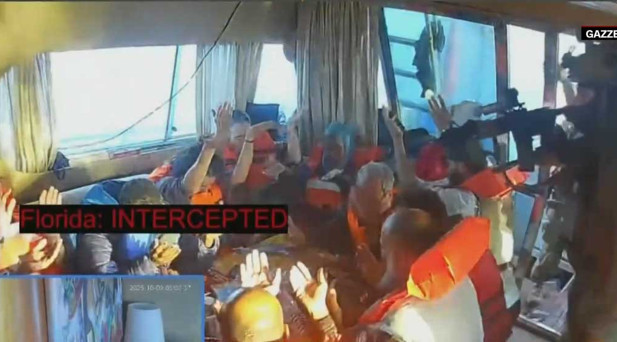 Florida gemisine baskın