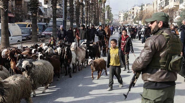 HALEPTE OPERASYON BAŞLADI
