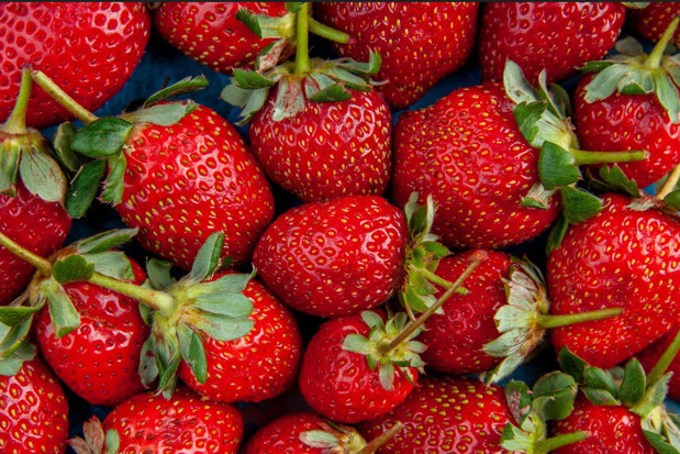 Yediğimiz gıdalar ne kadar güvenli