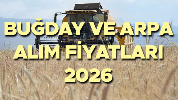 BUĞDAY VE ARPA FİYATLARI 2026 - YENİ TUTARLAR SON DAKİKA | Buğday ve arpa alım fiyatı bu sene ne kadar, kaç TL oldu Hububat buğday ve arpa ton başına alım fiyatı... BUĞDAY VE ARPA FİYATLARI 2026 - YENİ TUTARLAR SON DAKİKA | Buğday ve arpa alım fiyatı bu sene ne kadar, kaç TL oldu Hububat buğday ve arpa ton başına alım fiyatı...