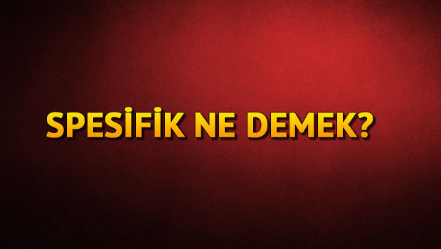 Spesifik ne demek?