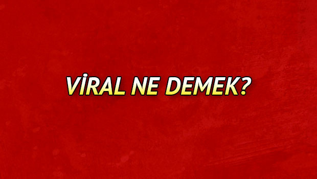 Viral ne demek? Viral nedir? Viral reklam ve pazarlama ile ilgili bilgier