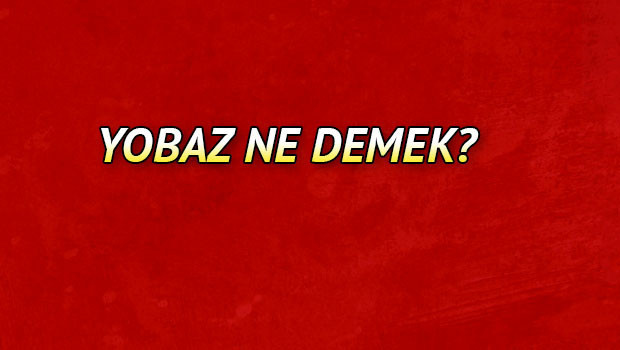 Yobaz ne demek? Yobaz nedir? Yobaz TDK kelime Anlamı