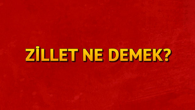 Zillet ne demek? Zillet nedir? Zillet TDK kelime anlamı