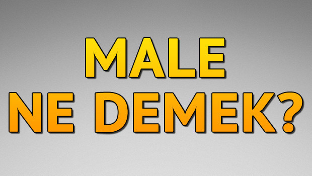 Male ne demek? Male kelimesinin Türkçesi nedir?