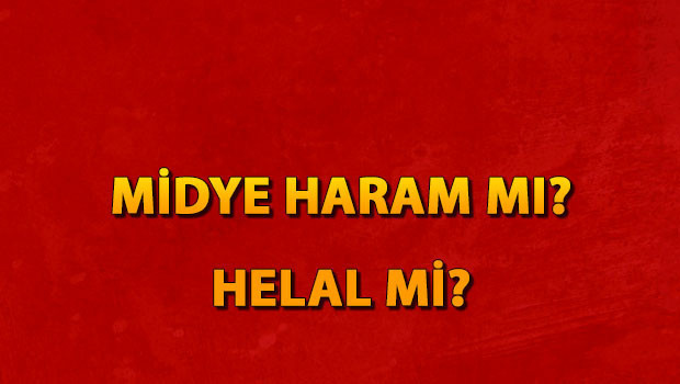 Midye haram mı helal mi? Midye yemek günah mı? Diyanet midye cevabı