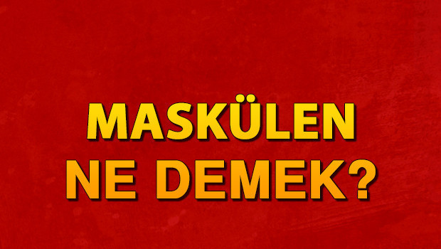 Maskülen ne demek? Maskülen nedir? Maskülen TDK kelime anlamı