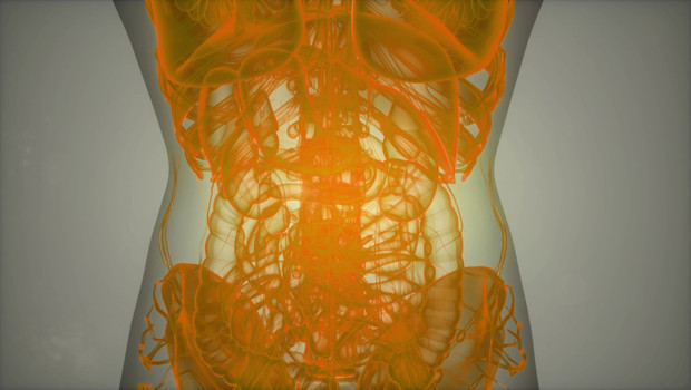 Gastroenteroloji nedir? Gastroenteroloji ne demek? Gastroent
