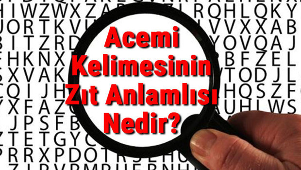 Acemi Kelimesinin Zıt Anlamlısı Nedir?