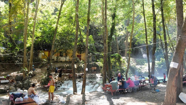 Mesire alanları, parklar, piknik yerleri ne zaman açılacak Cumhurbaşkanı tarih verdi