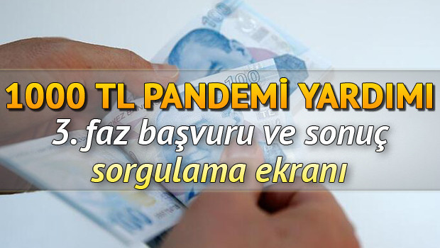 Pandemi yardımı ön başvuru sayfası.. 1000 TL sosyal yardım E-Devlet sonuç sorgulama ekranı Pandemi yardımı ön başvuru sayfası.. 1000 TL sosyal yardım E-Devlet sonuç sorgulama ekranı