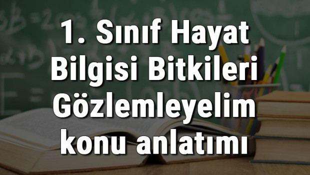 1. Sınıf Hayat Bilgisi Bitkileri Gözlemleyelim konu anlatımı