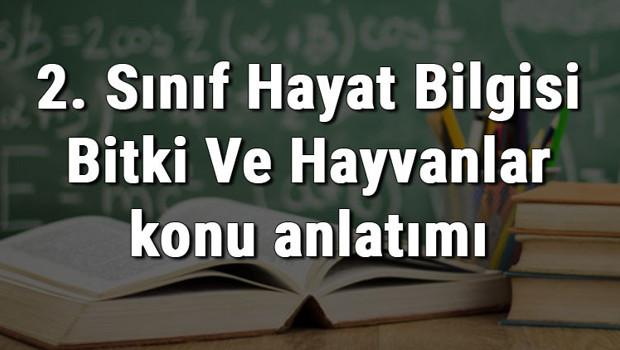2. Sınıf Hayat Bilgisi Bitki Ve Hayvanlar konu anlatımı