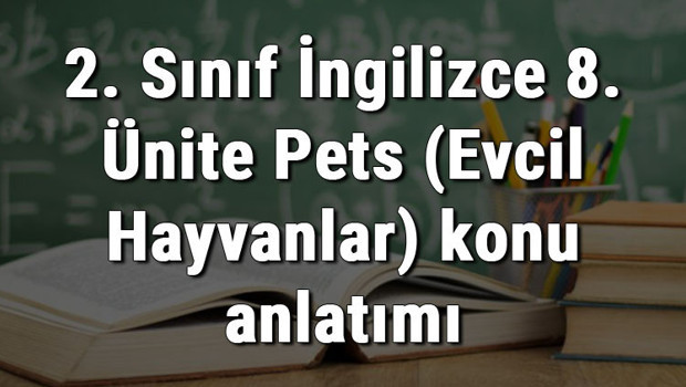 2. Sınıf İngilizce 8. Ünite Pets (Evcil Hayvanlar) konu anlatımı