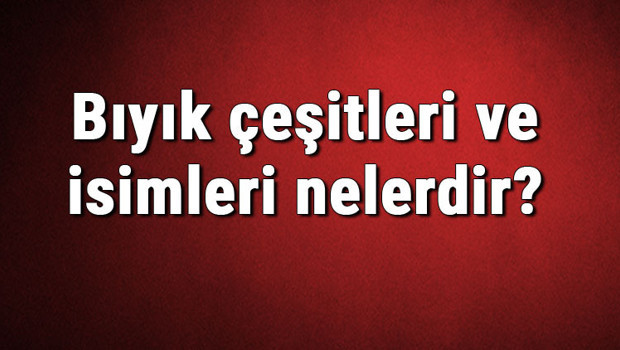 Bıyık çeşitleri ve isimleri nelerdir? Bıyık türleri hakkında bilgiler