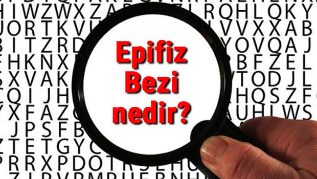 Epifiz Bezi nedir? Epifiz Bezi açılınca ne olur? Efipiz bezinin görevleri ve hastalıkları