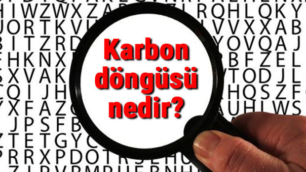 Karbon döngüsü nedir ve nasıl gerçekleşir? Karbon döngüsü aşamaları, yararları ve zararları
