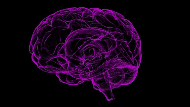 Epilepsi nedir Epilepsi nöbeti ne demek