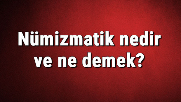 Nümizmatik nedir ve ne demek? Eski para inceleme ve koleksiyonculuğu hakkında bilgi