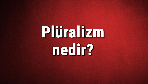 Plüralizm nedir? Çokçuluk ne demek? Plüralizm (çokçuluk) hakkında bilgi