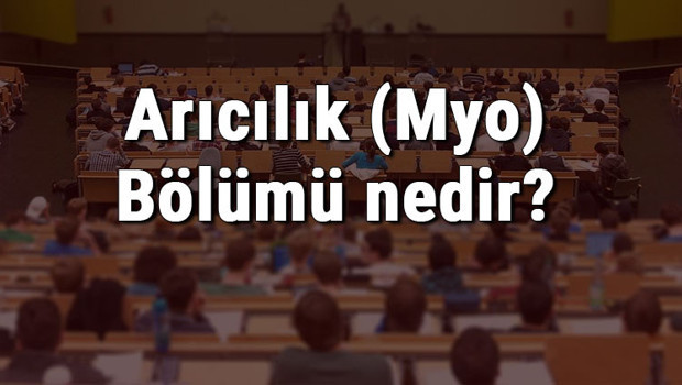 Arıcılık (Myo) Bölümü nedir ve mezunu ne iş yapar? Bölümü olan üniversiteler, dersleri ve iş imkanları