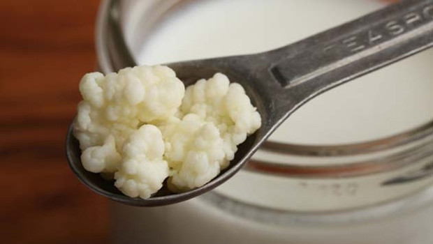 Kefir nedir