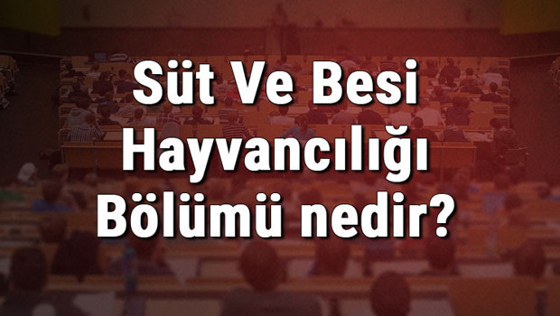 Süt Ve Besi Hayvancılığı Bölümü nedir ve mezunu ne iş yapar? Bölümü olan üniversiteler, dersleri ve iş imkanları