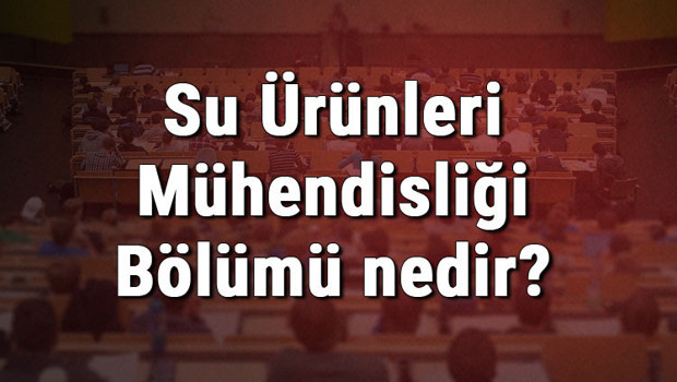 Su Ürünleri Mühendisliği Bölümü nedir ve mezunu ne iş yapar? Bölümü olan üniversiteler, dersleri ve iş imkanları