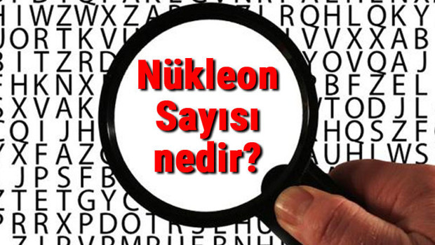 Nükleon Sayısı nedir? Nükleon Sayısı nasıl bulunur?