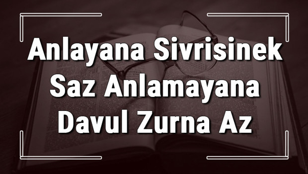 Anlayana Sivrisinek Saz Anlamayana Davul Zurna Az atasözünün anlamı ve örnek cümle içinde kullanımı (TDK)
