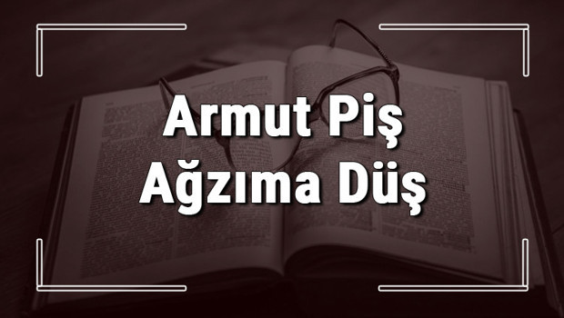 Armut Piş Ağzıma Düş atasözünün anlamı ve örnek cümle içinde kullanımı (TDK)