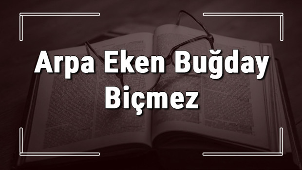 Arpa Eken Buğday Biçmez atasözünün anlamı ve örnek cümle içinde kullanımı (TDK)