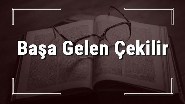 Başa Gelen Çekilir atasözünün anlamı ve örnek cümle içinde kullanımı (TDK)