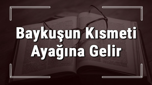 Baykuşun Kısmeti Ayağına Gelir atasözünün anlamı ve örnek cümle içinde kullanımı (TDK)