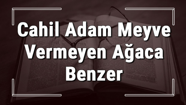 Cahil Adam Meyve Vermeyen Ağaca Benzer atasözünün anlamı ve örnek cümle içinde kullanımı (TDK)