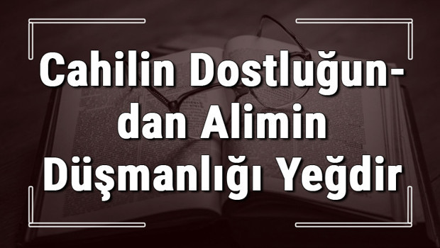Cahilin Dostluğundan Alimin Düşmanlığı Yeğdir atasözünün anlamı ve örnek cümle içinde kullanımı (TDK)