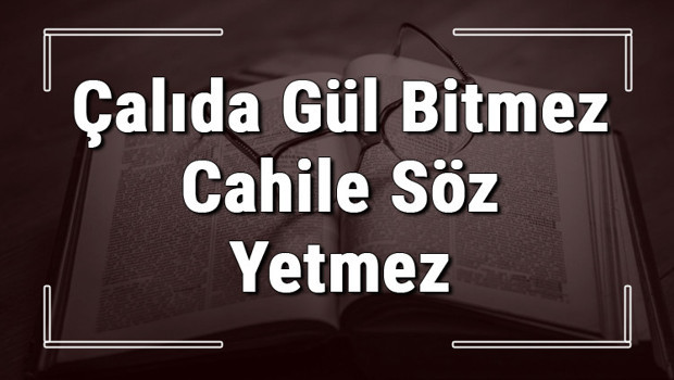 Çalıda Gül Bitmez Cahile Söz Yetmez atasözünün anlamı ve örnek cümle içinde kullanımı (TDK)
